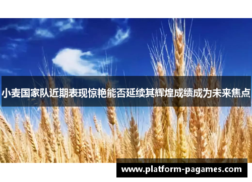 小麦国家队近期表现惊艳能否延续其辉煌成绩成为未来焦点