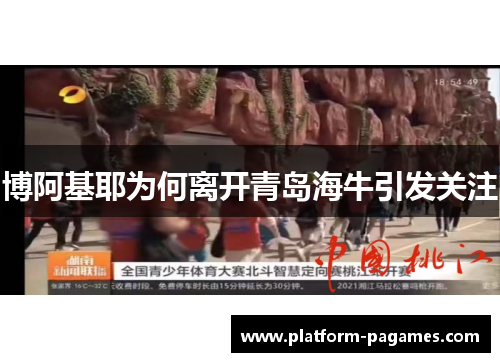 博阿基耶为何离开青岛海牛引发关注