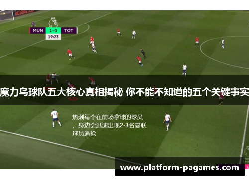 魔力鸟球队五大核心真相揭秘 你不能不知道的五个关键事实 魔力鸟球队五大核心真相揭秘 你不能不知道的五个关键事实