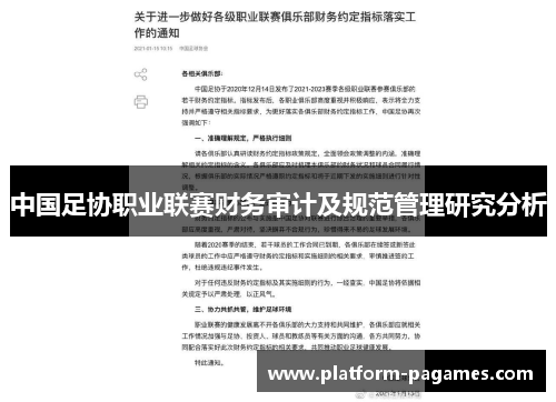 中国足协职业联赛财务审计及规范管理研究分析