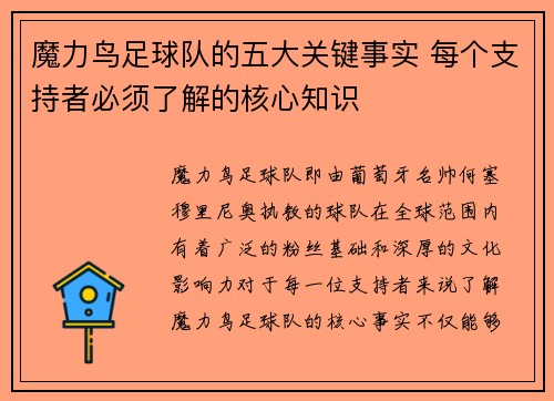 魔力鸟足球队的五大关键事实 每个支持者必须了解的核心知识