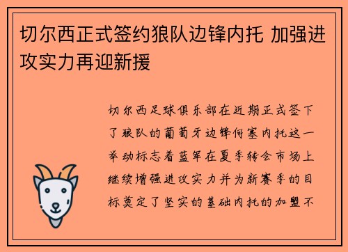 切尔西正式签约狼队边锋内托 加强进攻实力再迎新援
